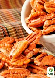 Саджанець Agro-Market Горіх Пекан Meramec саджанець 3 роки (морозостійкий, урожайний сорт) 1 шт. в упаковці (179041) - мініатюра 2