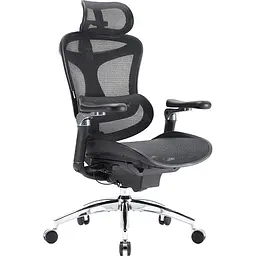 Крісло офісне Sihoo Doro C300 Pro Mesh Black (DORO-C300-PRO-M101) - мініатюра 4