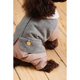 Костюм для собак Pet Fashion Twiddy S дівчинка пудровий - мініатюра 5