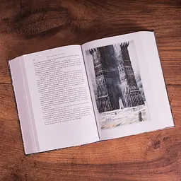 The Lord of the Rings. Illustrated Slipcased edition - мініатюра 5