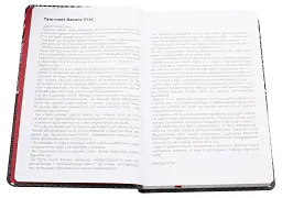 Листи до сина - Василь Стус - мініатюра 5
