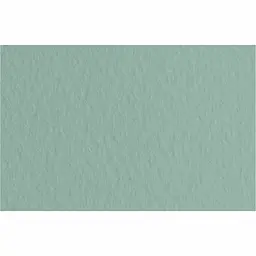 Папір для пастелі Fabriano Tiziano B2 (50х70 см) №13 salvia 160 г/м² сіро-зелений середнє зерно (8001348157694)