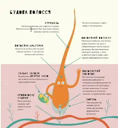 Книжка про волосся - мініатюра 4