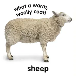 Baby Touch and Feel. Farm Animals - - мініатюра 4