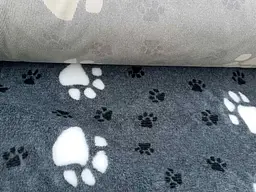Килимок Jackson Textiles Big Paws grey 160х100 см (JT-022-1) - мініатюра 5