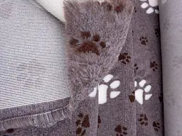 Килимок Jackson Textiles Big Paws brown 160х200 см (JT-033-2) - мініатюра 5