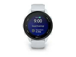 Смарт-годинник Garmin Forerunner 70 Whitestone (010-04307-01) - мініатюра 2