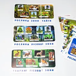Набір тематичних карток "Природні зони" 13169002 для дітей 4-6 років - мініатюра 4