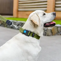 Нашийник для собак Collar Брезент пластиковий фастекс, L 35 мм (46-69) см - мініатюра 3