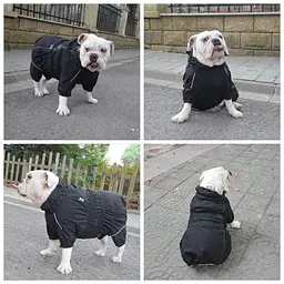 Комбінезон-дощовик для собак Derby Dog Suit Black L - мініатюра 6
