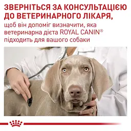 Сухий корм для для стерилізованих собак малих порід Royal Canin Neutered Adult Small Dogs 1.5 кг - мініатюра 5
