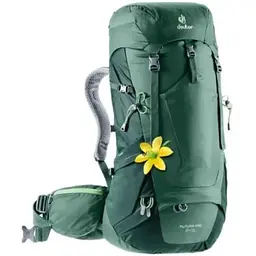 Рюкзак Deuter Futura Pro 34 SL Seagreen-Forest (1052-3401018 2247)