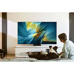 Телевізор Samsung S95F 83` OLED 4K (QE83S95F) [151220] - мініатюра 10