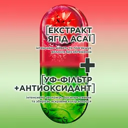 Бальзам-ополіскувач Garnier Fructis Годжі Стійкий колір, для фарбованого або мелірованого волосся, 200 мл - мініатюра 4
