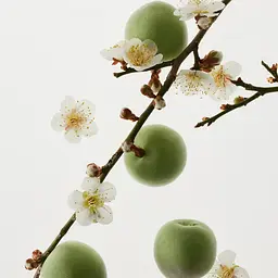 Освіжаючий тонік Зелена слива Beauty of Joseon Green Plum Refreshing Toner AHA + BHA 150 мл - мініатюра 9