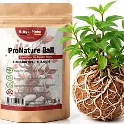 Поживні кульки Kruger Meier ProNature Ball 10 для акваріумних і тераріумних рослин - мініатюра 2