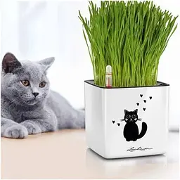 Вазон Lechuza Cube Glossy Cat Winter edition 14 білий блискучий (13507) - мініатюра 4