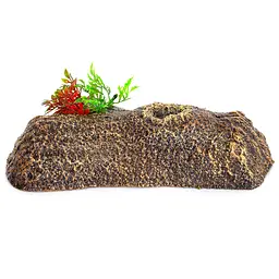 Острів для черепах Repti-Zoo Turtle Floating Bark S 21,5x15x6см (TB15S) - плаваюча платформа для акватераріуму - мініатюра 4