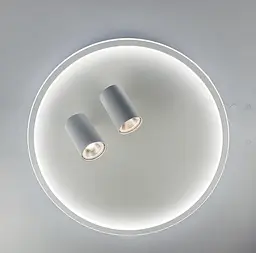 Стельова люстра LED в білому корпусі з направляючими спотами Line.F C 13/500
