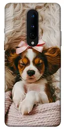 TPU чохол Demsky Sleepy spaniel для OnePlus 8