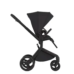 Дитяча коляска Anex Flo Lungo - мініатюра 10