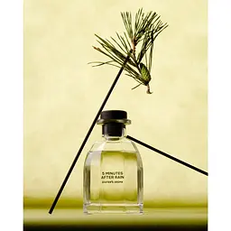 Аромат для простору Sister's Aroma 5 Minutes after rain 140 мл - мініатюра 3
