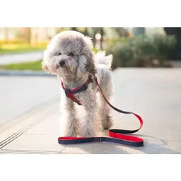 Шлея з повідцем для собак AnimAll Denim Leash Red, 36-46х1,5/120 см - мініатюра 4