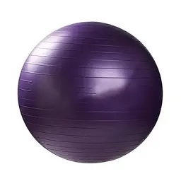 М'яч для фітнесу Фітбол BT-SFB-0004Violet розмір 65 см