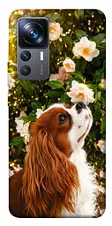 TPU чохол Demsky Flower spaniel для Xiaomi 12T / 12T Pro