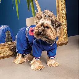 Дощовик Pet Fashion Silver для собак, розмір XS-2, синій - мініатюра 3