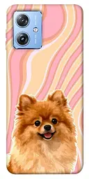 TPU чохол Demsky Pastel spitz для Motorola Moto G84
