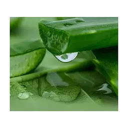 Маска для обличчя Lululun Premium Face Mask Okinawa Aloe Заспокійлива з екстрактом алое 1 шт х 5 уп (4582305069532) - мініатюра 3