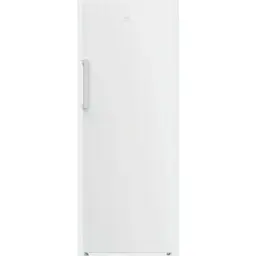Морозильна камера Beko RFNE290L21W