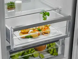 Холодильник Electrolux RNT7ME34K1 - мініатюра 6
