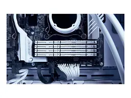 Оперативна пам’ять Kingston KF552C40BWK2-32 - мініатюра 8