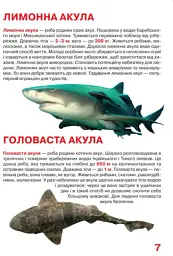 Велика книжка. Акули - Олег Зав'язкин - мініатюра 5
