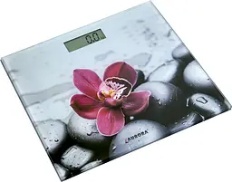 Підлогові ваги Aurora AU 4306