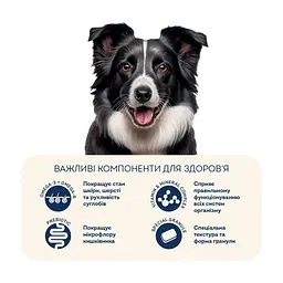 Сухий корм для собак Home Food Adult Medium/Maxi For active adult and junior dogs з ягням та рисом 300 г (4820290090279) - мініатюра 5