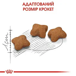 Сухий корм для кошенят після стерилізації Royal Canin Kitten Sterilised 0.4 кг - мініатюра 4