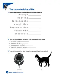 Macmillan Science. Level 4. Workbook - Девід Гловер - мініатюра 4