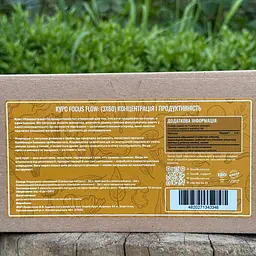 Курс Лісовик Focus Flow Концентрація та продуктивність на 1 місяць 180 капсул - мініатюра 3