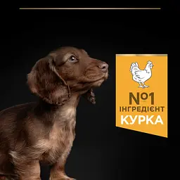 Сухий корм Purina Pro Plan Small & Mini Puppy <1 Healthy Start для цуценят дрібних порід з куркою 7 кг - мініатюра 6