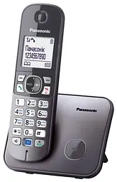Радіотелефон Panasonic KX-TG6811UAM Металік