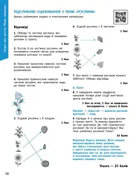 STEM-Старт. Наука про життя. Методичний посібник. 1-4 класи - Ірина Потапенко - мініатюра 8
