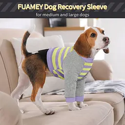 Костюм для відновлення собак Derby Stop Licking Dog Recovery Shirt, Purple, S - мініатюра 2