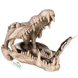 Декорація череп крокодила Terrario Crocodile Skull XL 23x11x16см (251115) - мініатюра 3