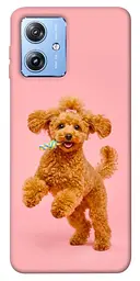 TPU чохол Demsky Happy poodle для Motorola Moto G84
