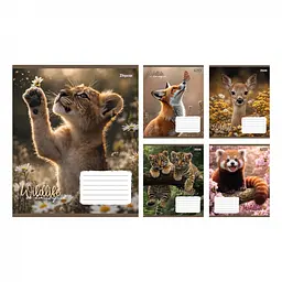Набір зошитів 1 Вересня Wildlife is Beautiful лінія 24 аркуші 20 шт 769147