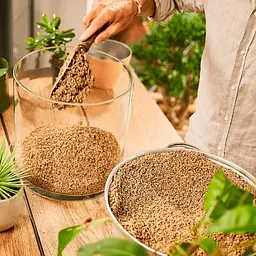 Субстрат Compo Bio Granuplant для кімнатних рослин 3 л (8817) - мініатюра 4