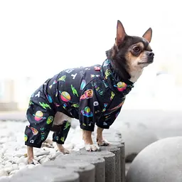 Вітровка для собак Waudog Clothes, Рік та Морті 2, XS22 - мініатюра 2